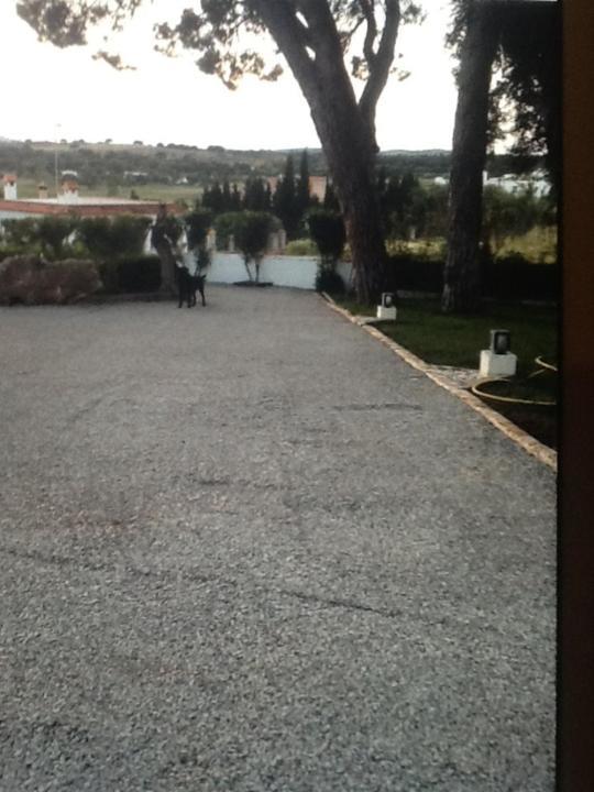 Casa Las Ciguenas Leilighet Vejer de la Frontera Eksteriør bilde