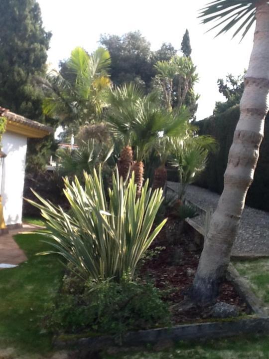 Casa Las Ciguenas Leilighet Vejer de la Frontera Eksteriør bilde