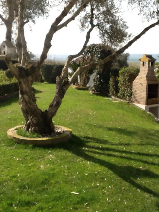Casa Las Ciguenas Leilighet Vejer de la Frontera Eksteriør bilde