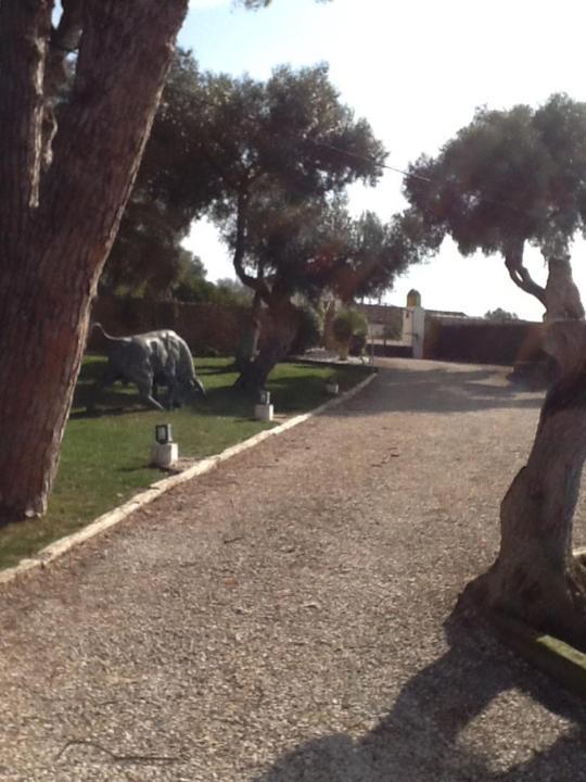 Casa Las Ciguenas Leilighet Vejer de la Frontera Eksteriør bilde